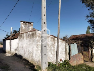 Moradia T3 para Venda em Carvalhal