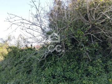 Moradia T3 para Venda em Carvalhal