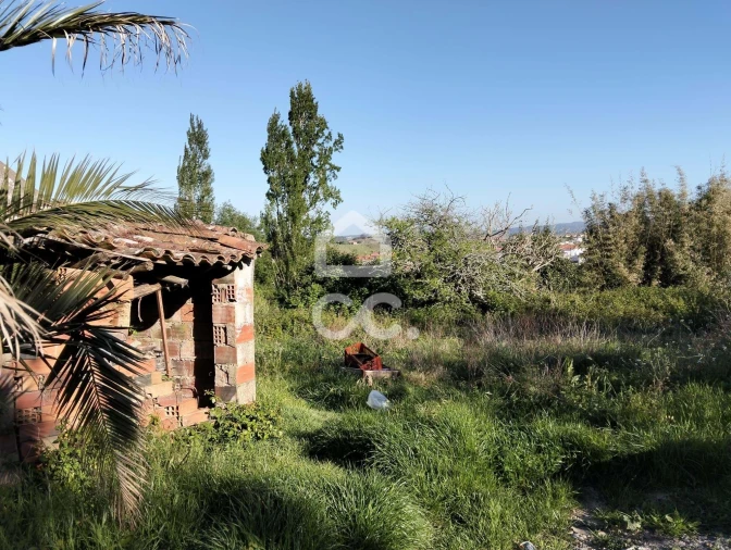 Moradia T3 para Venda em Carvalhal Foto 11