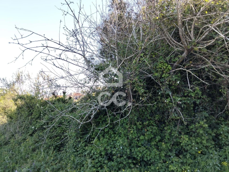 Moradia T3 para Venda em Carvalhal Foto 15