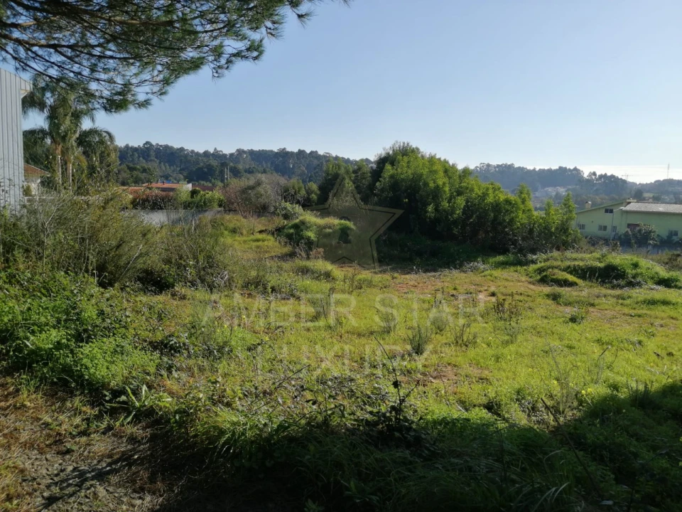 Terreno para Venda em Anta e Guetim Foto 6