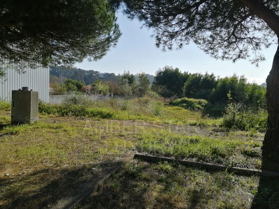 Terreno para Venda em Anta e Guetim Foto 9