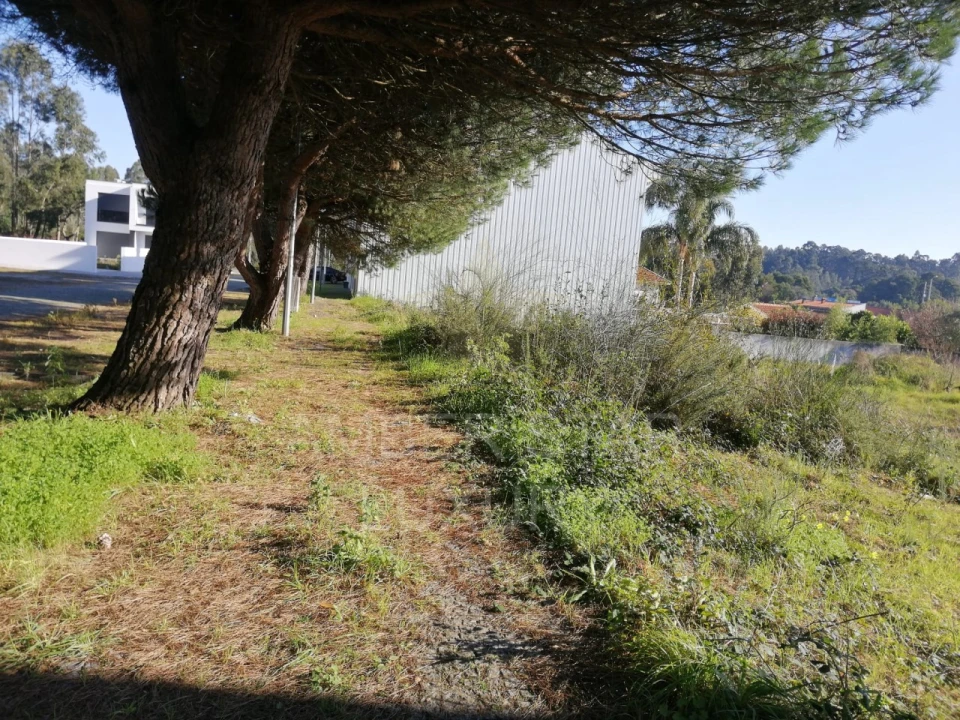 Terreno para Venda em Anta e Guetim Foto 11