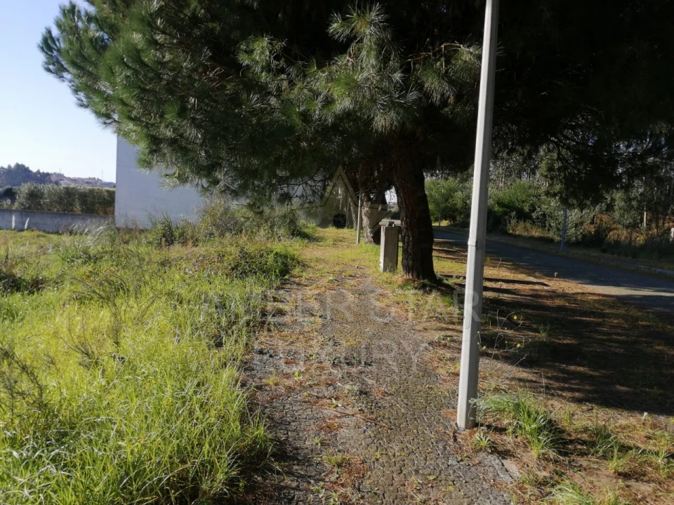 Terreno para Venda em Anta e Guetim Foto 16