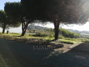 Terreno para Venda em Anta e Guetim