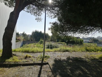 Terreno para Venda em Anta e Guetim