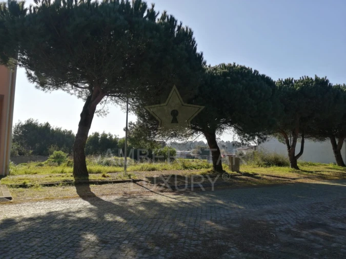 Terreno para Venda em Anta e Guetim Foto 4