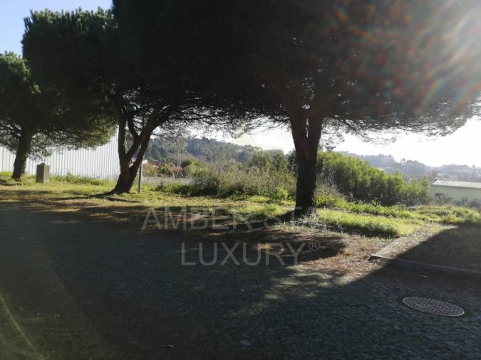 Terreno para Venda em Anta e Guetim Foto 7