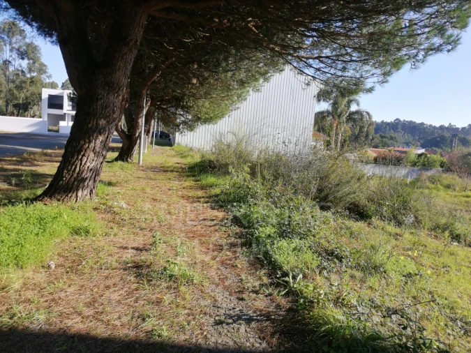 Terreno para Venda em Anta e Guetim Foto 11