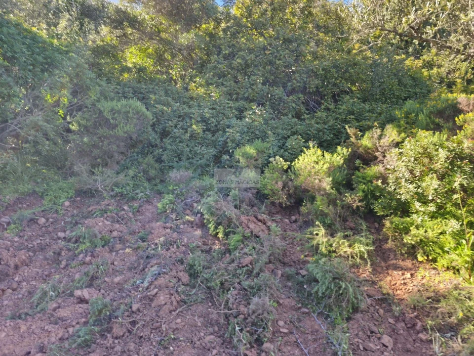 Terreno para Venda em Lagos (São Sebastião e Santa Maria) Foto 15