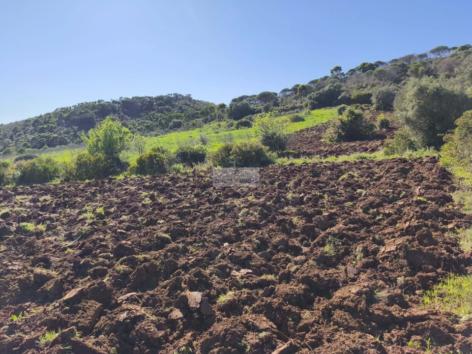 Terreno para Venda em Lagos (São Sebastião e Santa Maria) Foto 4