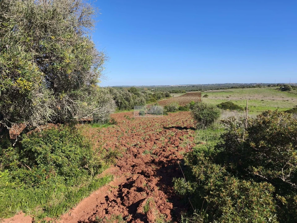 Terreno para Venda em Lagos (São Sebastião e Santa Maria) Foto 10