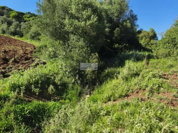 Terreno para Venda em Lagos (São Sebastião e Santa Maria)