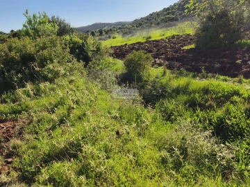 Terreno para Venda em Lagos (São Sebastião e Santa Maria)