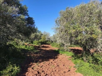 Terreno para Venda em Lagos (São Sebastião e Santa Maria)