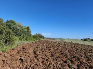 Terreno para Venda em Lagos (São Sebastião e Santa Maria)