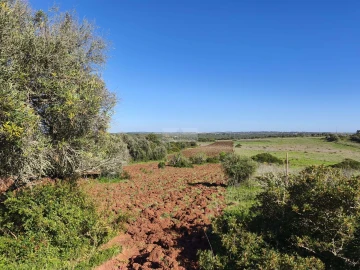 Terreno para Venda em Lagos (São Sebastião e Santa Maria)