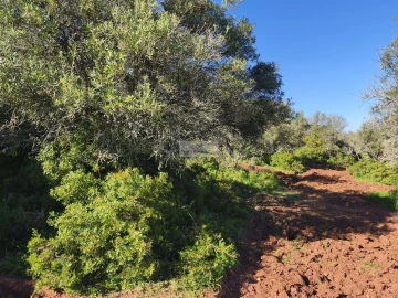 Terreno para Venda em Lagos (São Sebastião e Santa Maria)