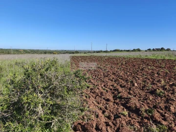 Terreno para Venda em Lagos (São Sebastião e Santa Maria)