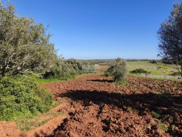 Terreno para Venda em Lagos (São Sebastião e Santa Maria)
