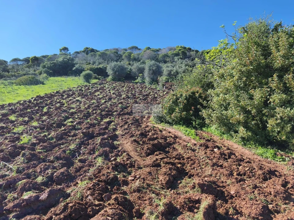 Terreno para Venda em Lagos (São Sebastião e Santa Maria) Foto 14