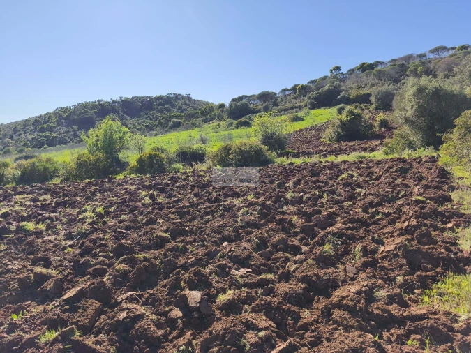 Terreno para Venda em Lagos (São Sebastião e Santa Maria) Foto 4