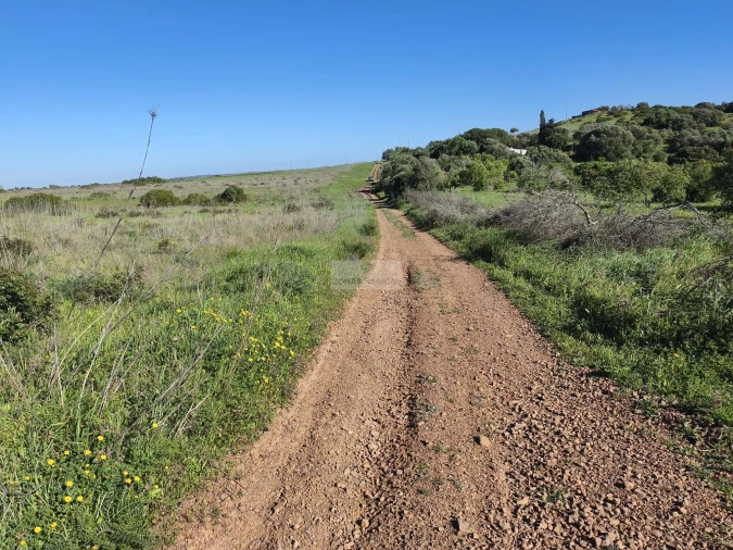 Terreno para Venda em Lagos (São Sebastião e Santa Maria) Foto 7
