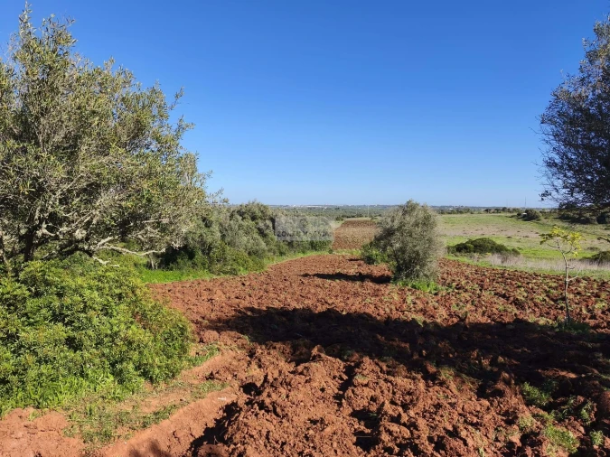 Terreno para Venda em Lagos (São Sebastião e Santa Maria) Foto 9