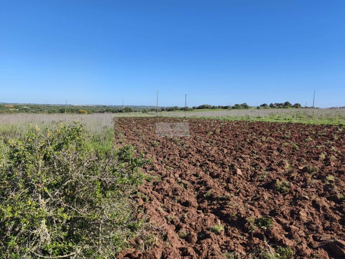 Terreno para Venda em Lagos (São Sebastião e Santa Maria) Foto 3