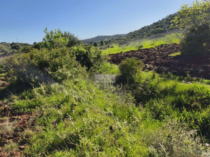 Terreno para Venda em Lagos (São Sebastião e Santa Maria) Foto 16