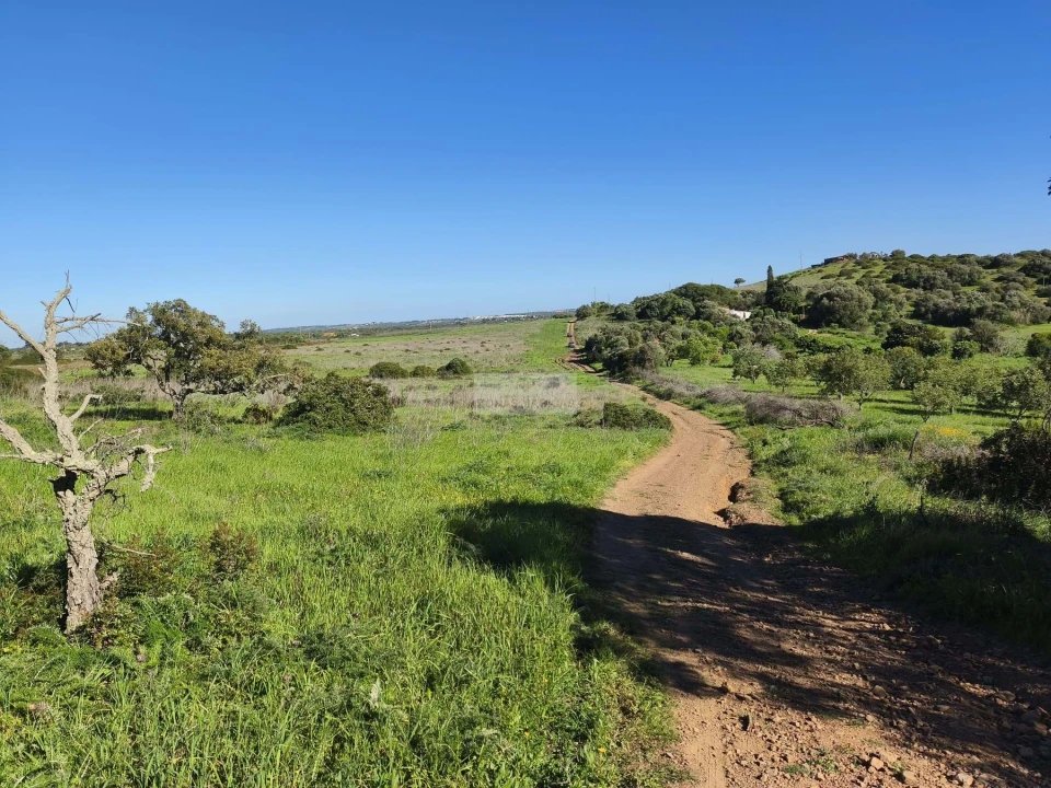 Terreno para Venda em Lagos (São Sebastião e Santa Maria) Foto 6