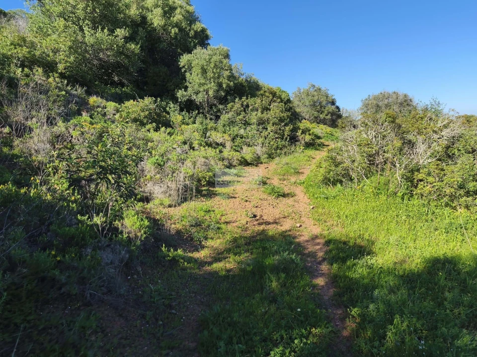 Terreno para Venda em Lagos (São Sebastião e Santa Maria) Foto 5