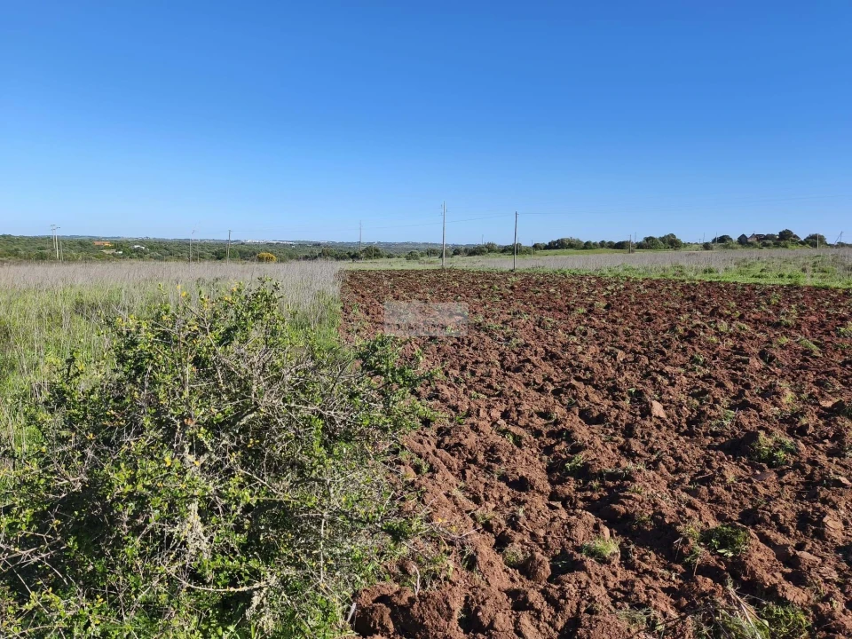 Terreno para Venda em Lagos (São Sebastião e Santa Maria) Foto 19