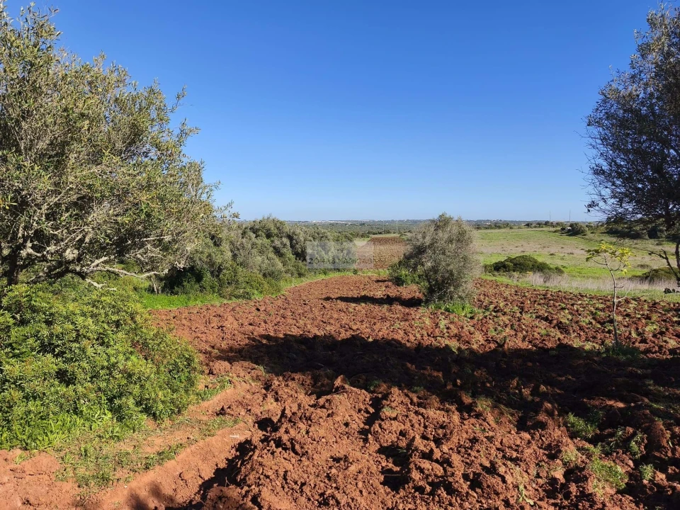 Terreno para Venda em Lagos (São Sebastião e Santa Maria) Foto 2