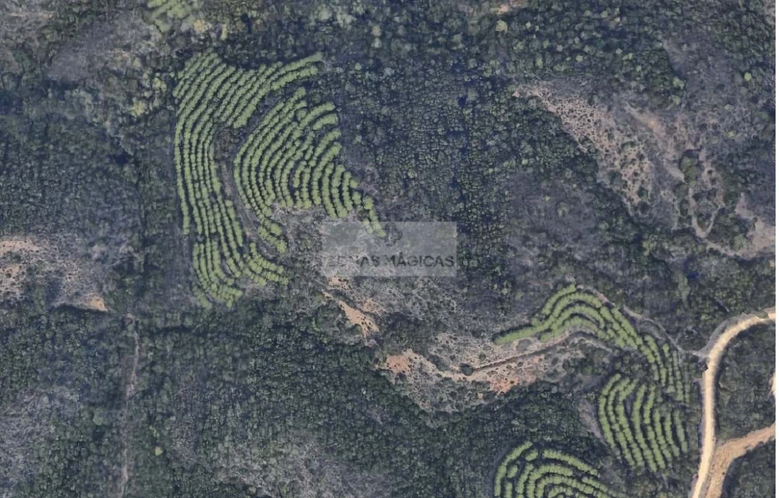Terreno para Venda em Lagos (São Sebastião e Santa Maria) Foto 1