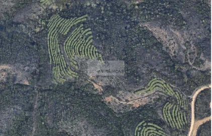 Terreno para Venda em Lagos (São Sebastião e Santa Maria)
