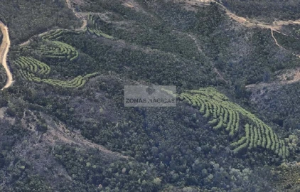 Terreno para Venda em Lagos (São Sebastião e Santa Maria)