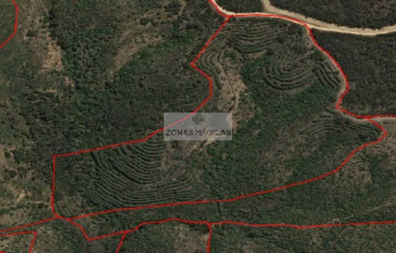 Terreno para Venda em Lagos (São Sebastião e Santa Maria) Foto 4