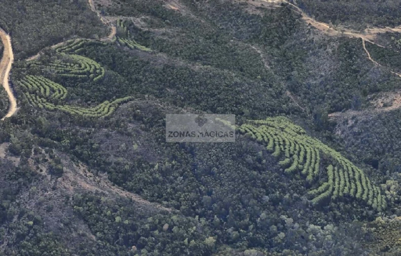 Terreno para Venda em Lagos (São Sebastião e Santa Maria) Foto 2