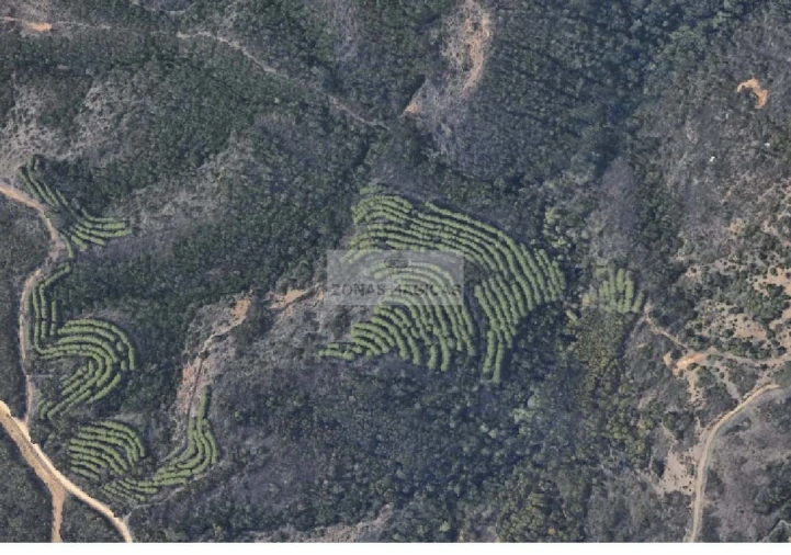 Terreno para Venda em Lagos (São Sebastião e Santa Maria) Foto 3