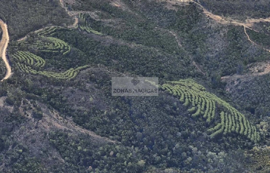 Terreno para Venda em Lagos (São Sebastião e Santa Maria) Foto 2