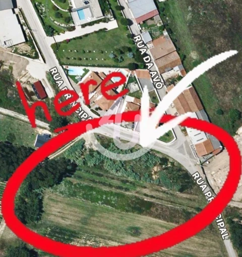 Terreno para Venda em Alfeizerão