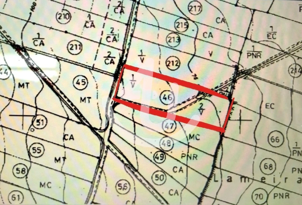 Terreno Agricola ou Rústico para Venda em Alfeizerão Foto 3