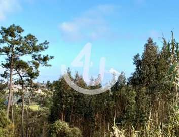 Terreno Agricola ou Rústico para Venda em Alfeizerão