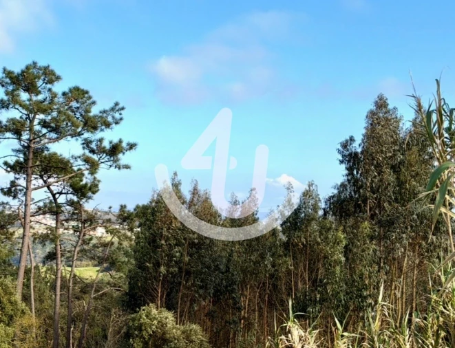 Terreno Agricola ou Rústico para Venda em Alfeizerão