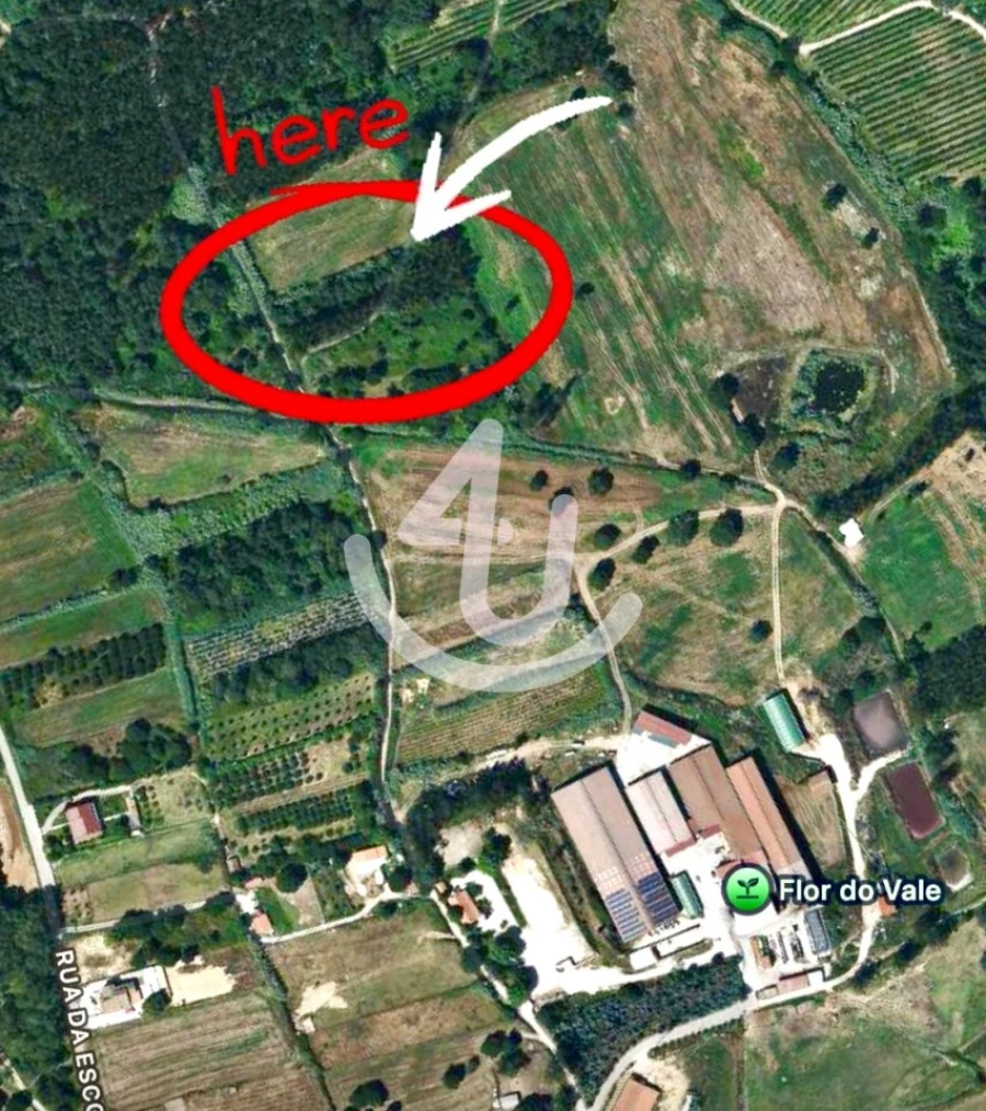 Terreno Agricola ou Rústico para Venda em Alfeizerão Foto 5