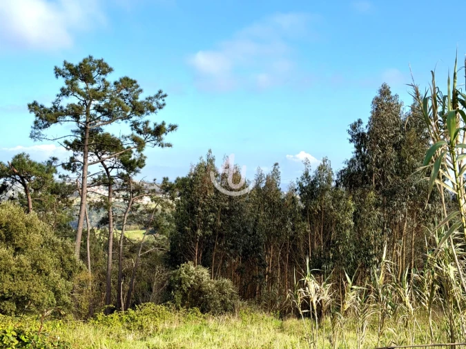 Terreno para Venda em Alfeizerão Foto 6