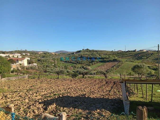 Terreno para Venda em Batalha Foto 3