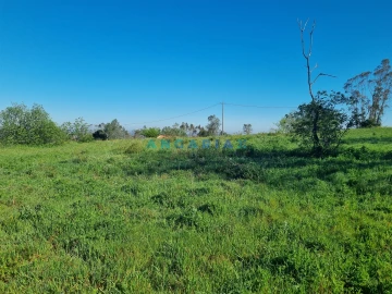 Terreno para Venda em Colmeias e Memória