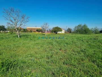 Terreno para Venda em Colmeias e Memória